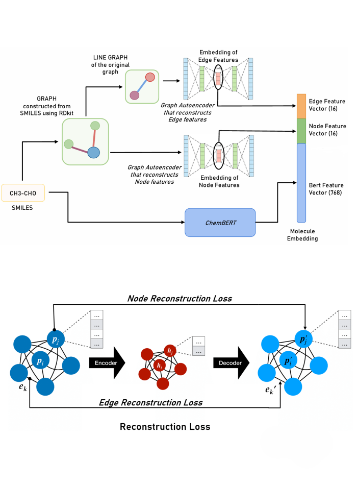 dual graph autoencoder